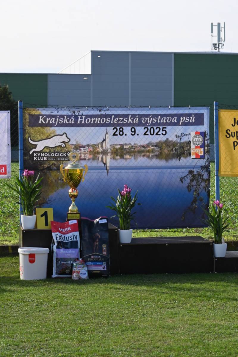 snimek 42.JPG